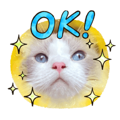 osakanako_20260328044601