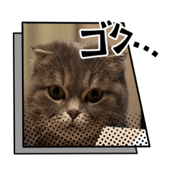 kenji_20260328054147