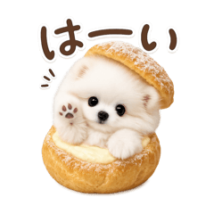 sonararu_20260327123544