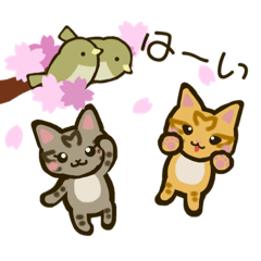 Amour_20260328125449