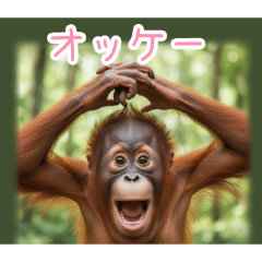 PAKAMOGOLY_20260324225344