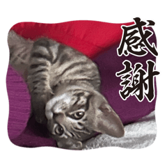 ayaka_20260327211945