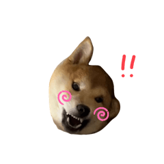 kimukimu_20260327213010