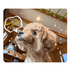 kuromame_20260328114435