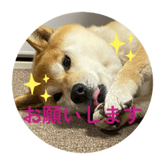 Mz_20260327211949