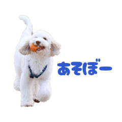 kasumi_20260328082949