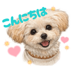 maika_20260327225323