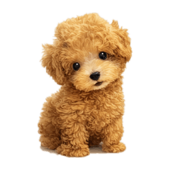 kakao_20260327225431