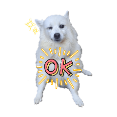 rinariii_20260327225238