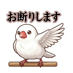 cornboy_yamaoka_20260328102402