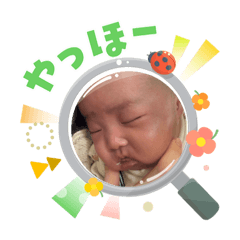 honohono_20260327224648