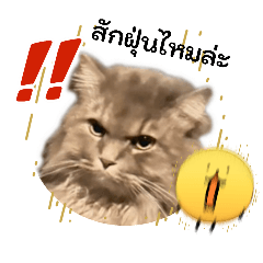 weerapan_20260327205318