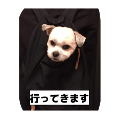 Matcha Mont Blanc_20260328112505