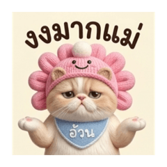 Cat Cute_20260328022851