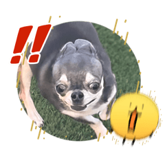 myun503_20260328113757