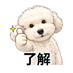 TENMUNI_20260328114641