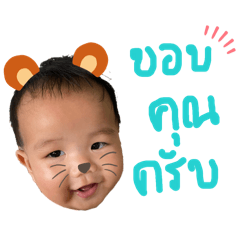 Sutipa_20260327223226