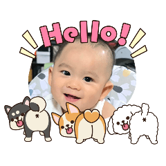 Netnapa_20260327231610