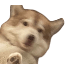 butter_20260327233024