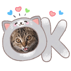 J3KJ ZRZ_20260328085649