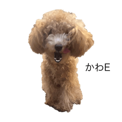 FiGeeKUN_20260328023119