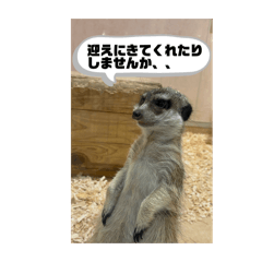 Hinata_20260325031507