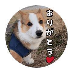 kappe_20260328122538