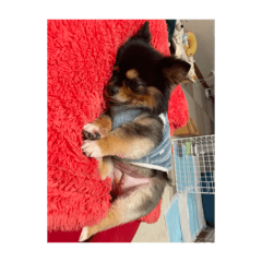 nagura_20260328123625