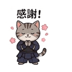 cat swordsman