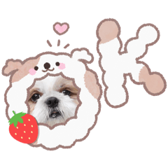 ten mama_20260328122245