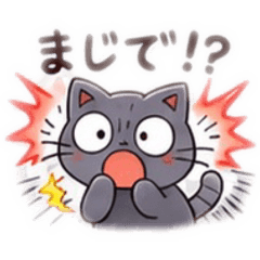 ankodaifuku_20260328122850