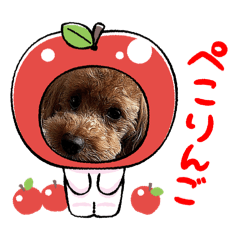 MINAZO_20260328124854