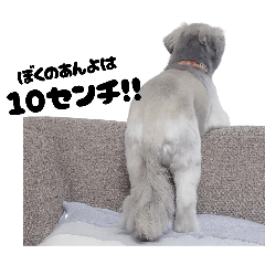 choron_20260328124712