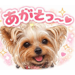 Moaru_20260328124625