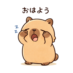 k.tyappi_20260328124734