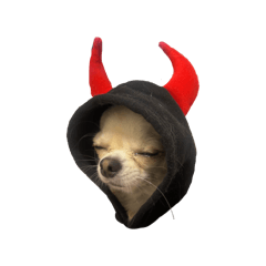 i am ria_20260328125432