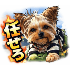 Moaru_20260328131054