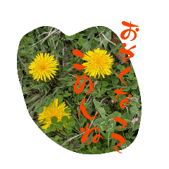 tanakaharumi_20260328160010