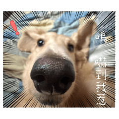 全部都是我的愛