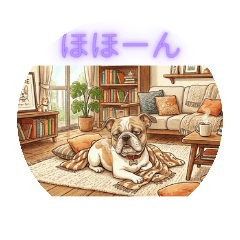 decoydekodeko_20260328085837