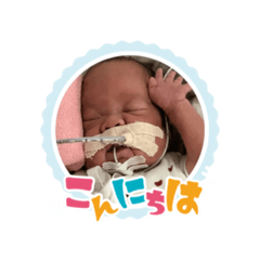 Marumaru_20260328090757