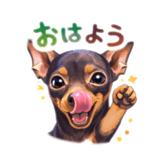 kiico_20260328090918