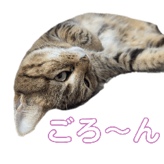 Akarin_20260328091905