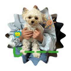 miusuta123_20260328091013