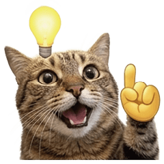 虎斑貓貓-小動物迷因表情大全