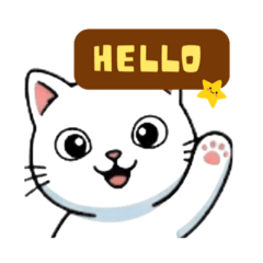 Cute Cat Daily: Sweet & Sassy