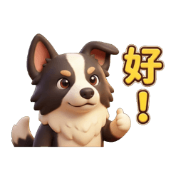 酷狗寶貝-邊境牧羊犬生活紀錄