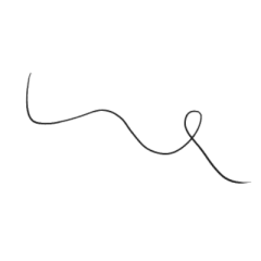 螢幕上黏著的毛