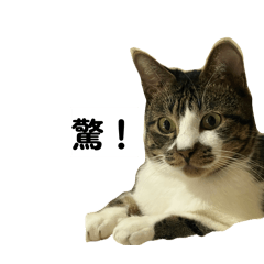 兇兇 第一代貼圖