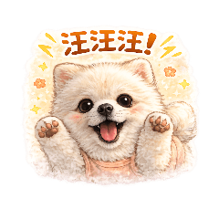 小博美沐沐軟萌日常